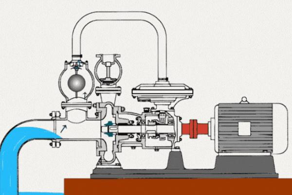 Self-Priming Centrifugal Pump